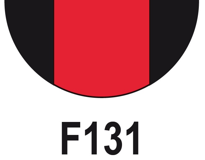 F131 100Cr6 100CrMo7